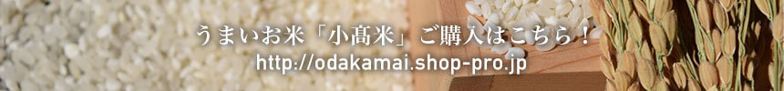 うまいお米販売