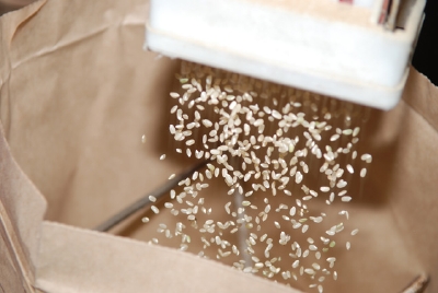 籾摺り・乾燥 10月中旬