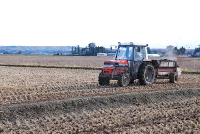 堆肥散布 11月中旬